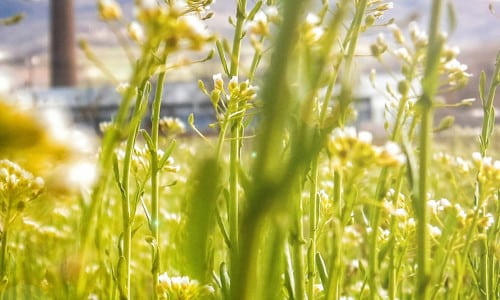 Nature, écologie et construction