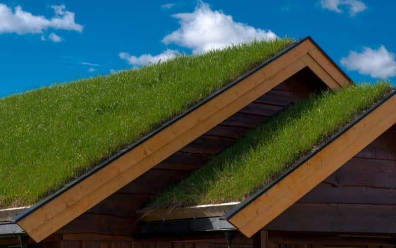 Toiture écologique végétalisée