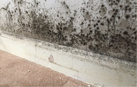 Moisissures sur le mur dues aux remontées capillaires