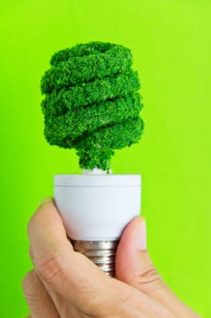 Avantage et Inconvénients des offres d'électricité verte - Main qui rient une ampoule avec un bulbe vert en forme d'arbre