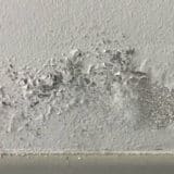 Humidité maison - Peinture qui se décolle sur le bas du mur et apparition de moisissure