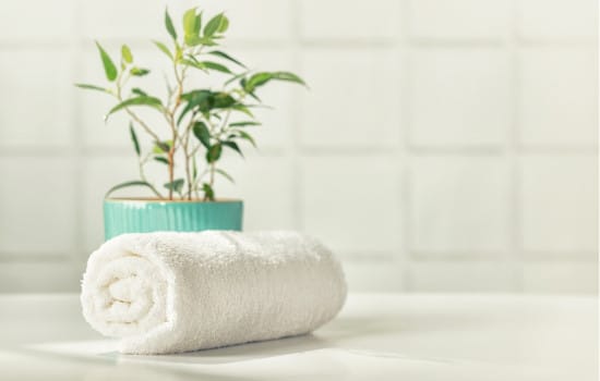 Salle de bain vert sauge tendance 2026